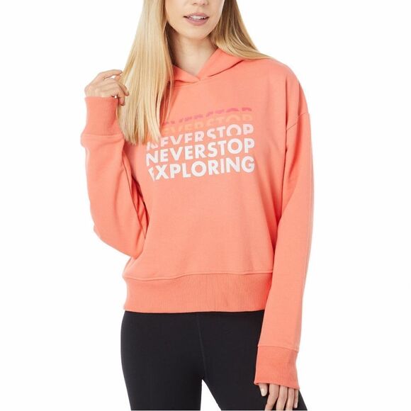 NWT The North Face Logo Play Hoodie - Picture 2 of 11